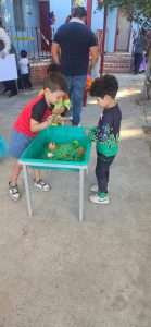 Halloween 2025 Tiny Tot Preschool & Kindergarten