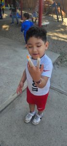 Halloween 2025 Tiny Tot Preschool & Kindergarten