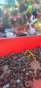 Halloween 2025 Tiny Tot Preschool & Kindergarten